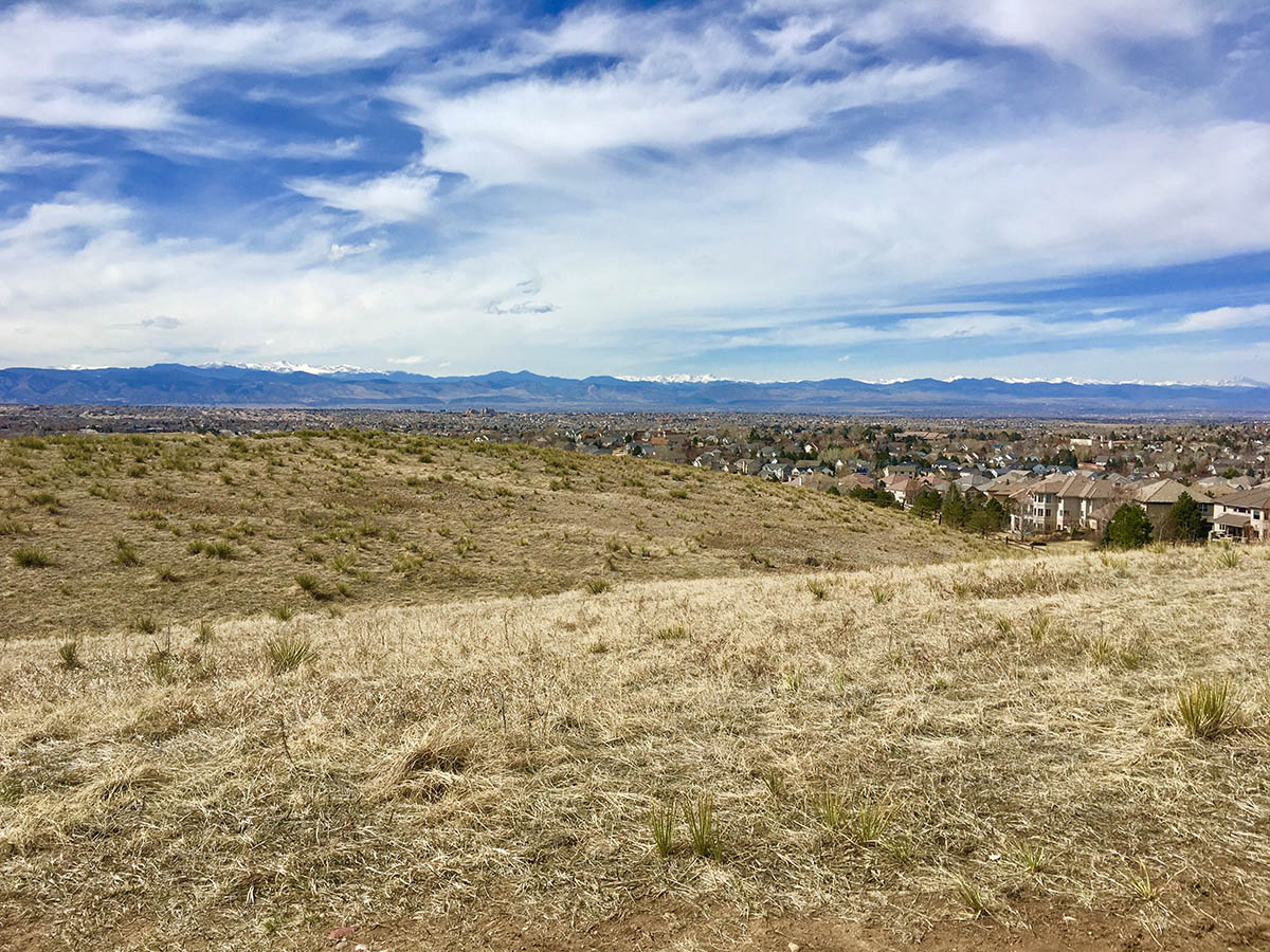Larry Preston - The Daily Hike
