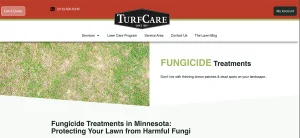 Fungicide Lawn Treatment Minnesota