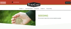 Minnesota Lawn Seeding